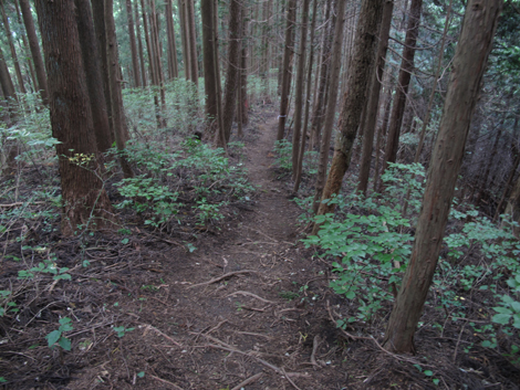 20161014hike (214)